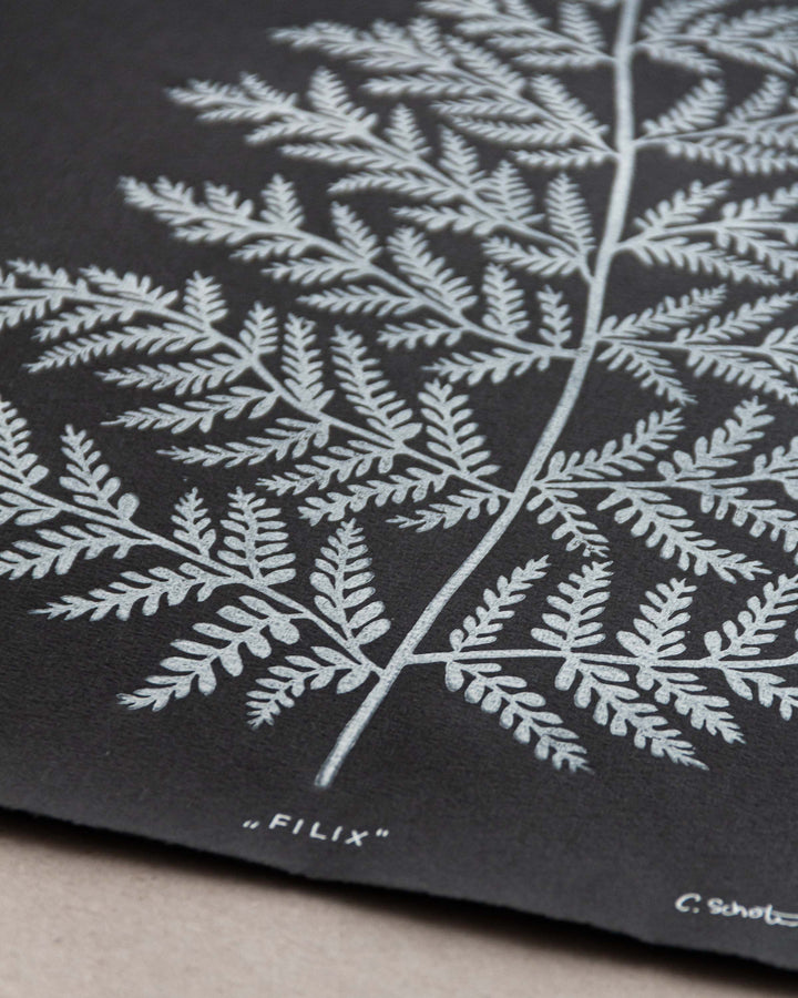 "Filix" – Lino Print White A3